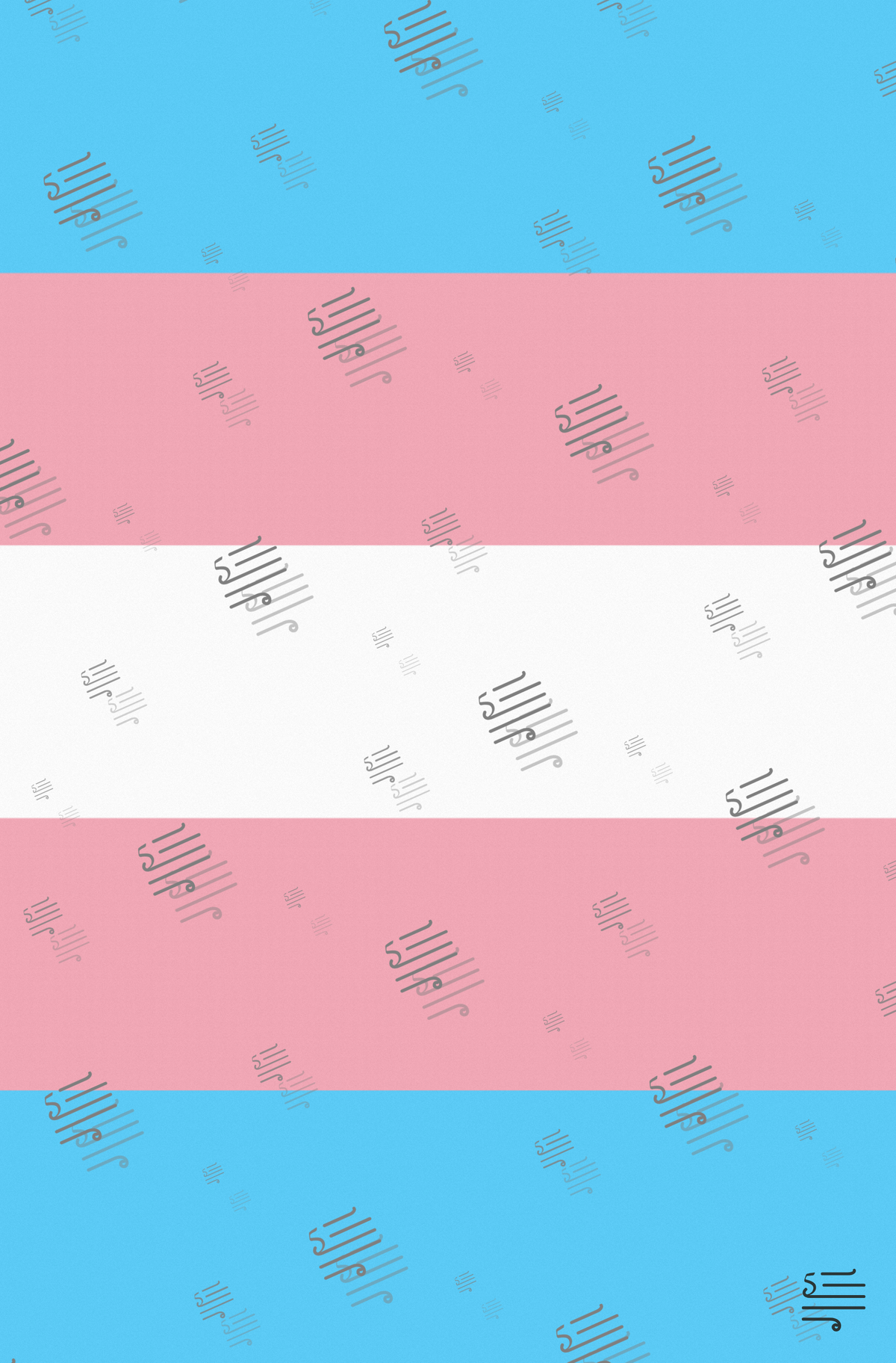 Trans Pride — flat back cover (proof)
