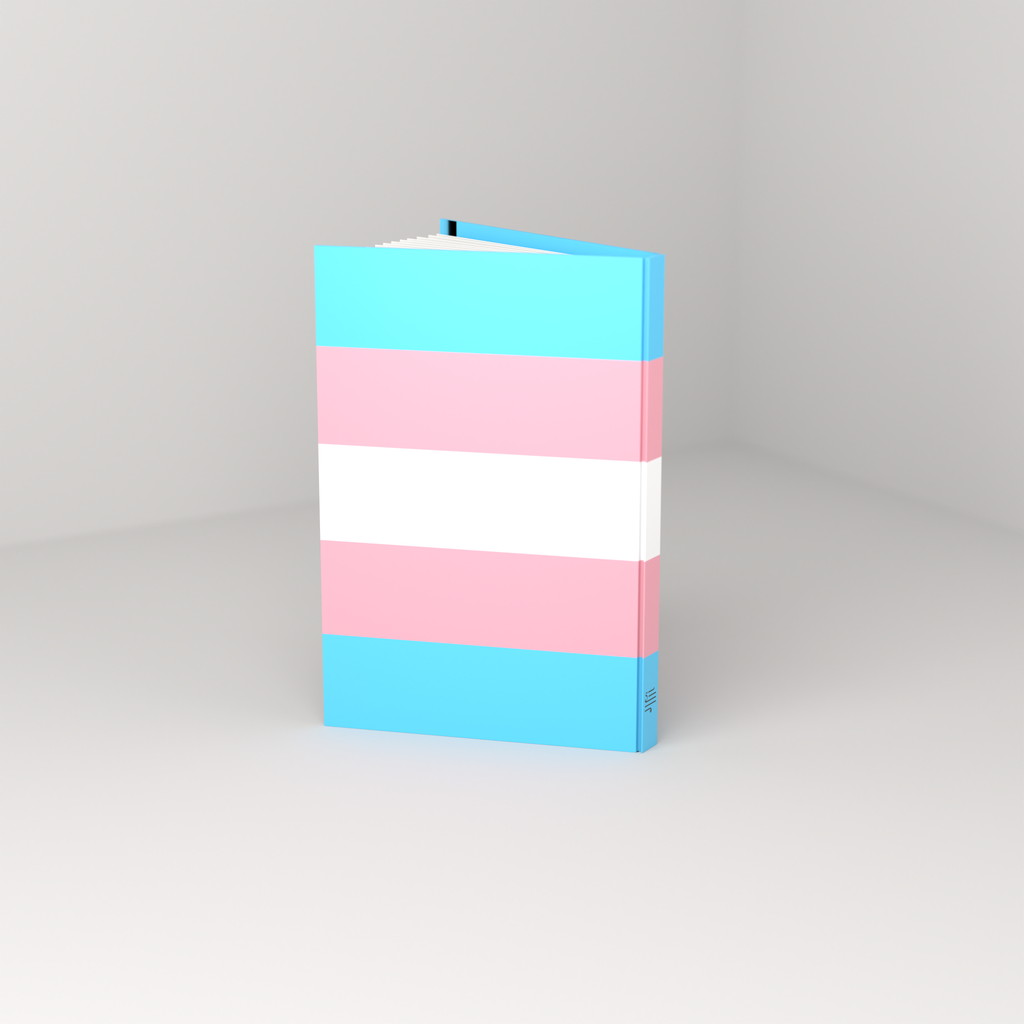 Trans Pride journal, standing open — back cover 3/4 view