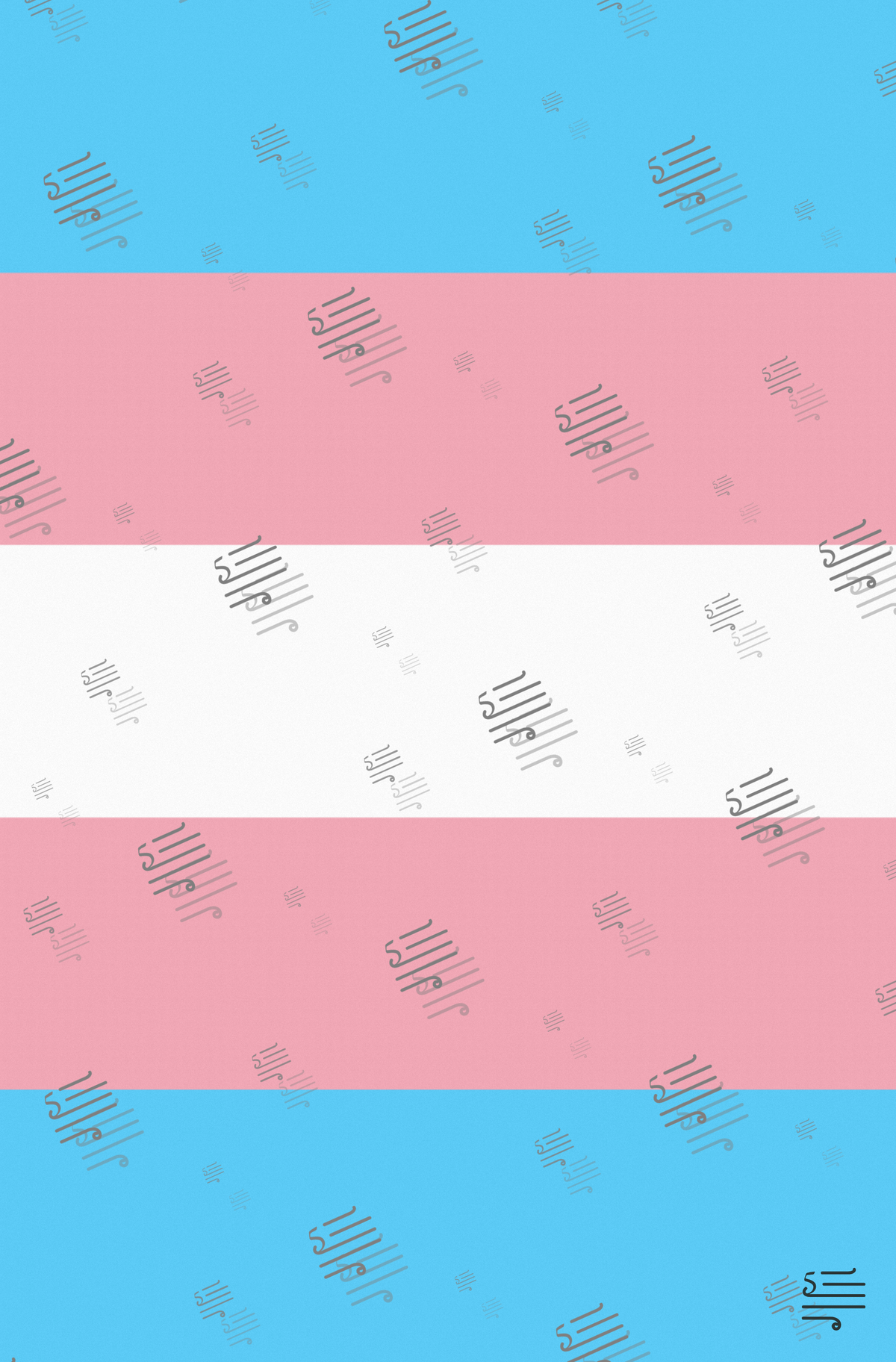 Trans Pride — flat front cover (proof)
